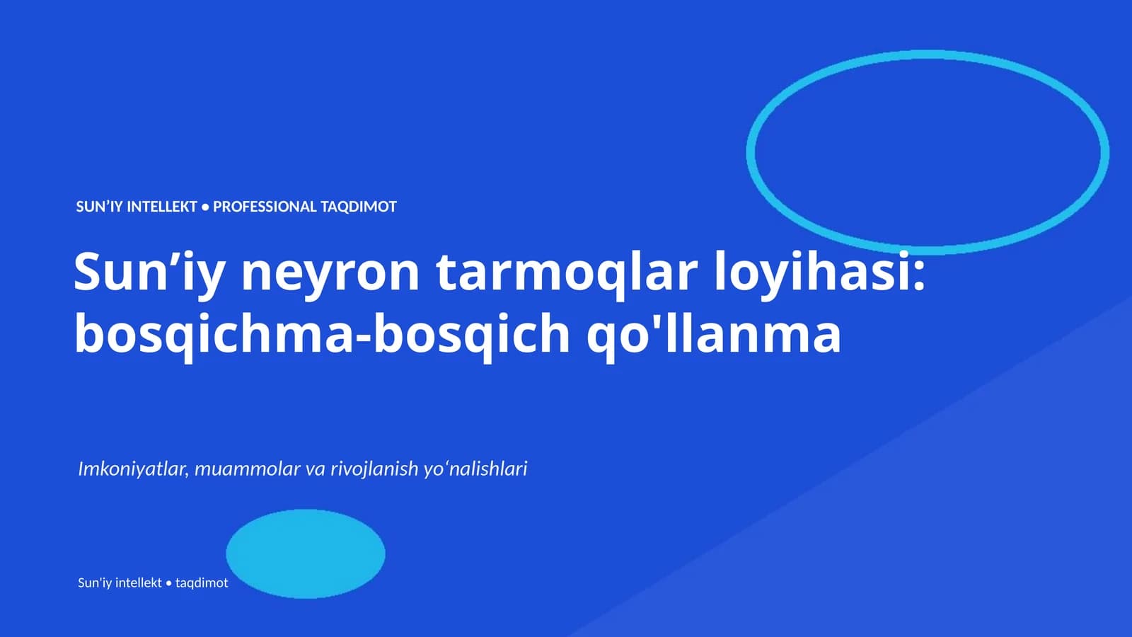 Sun’iy neyron tarmoqlar loyihasi: bosqichma-bosqich qo'llanma