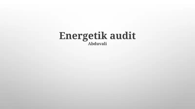 Energetik audit