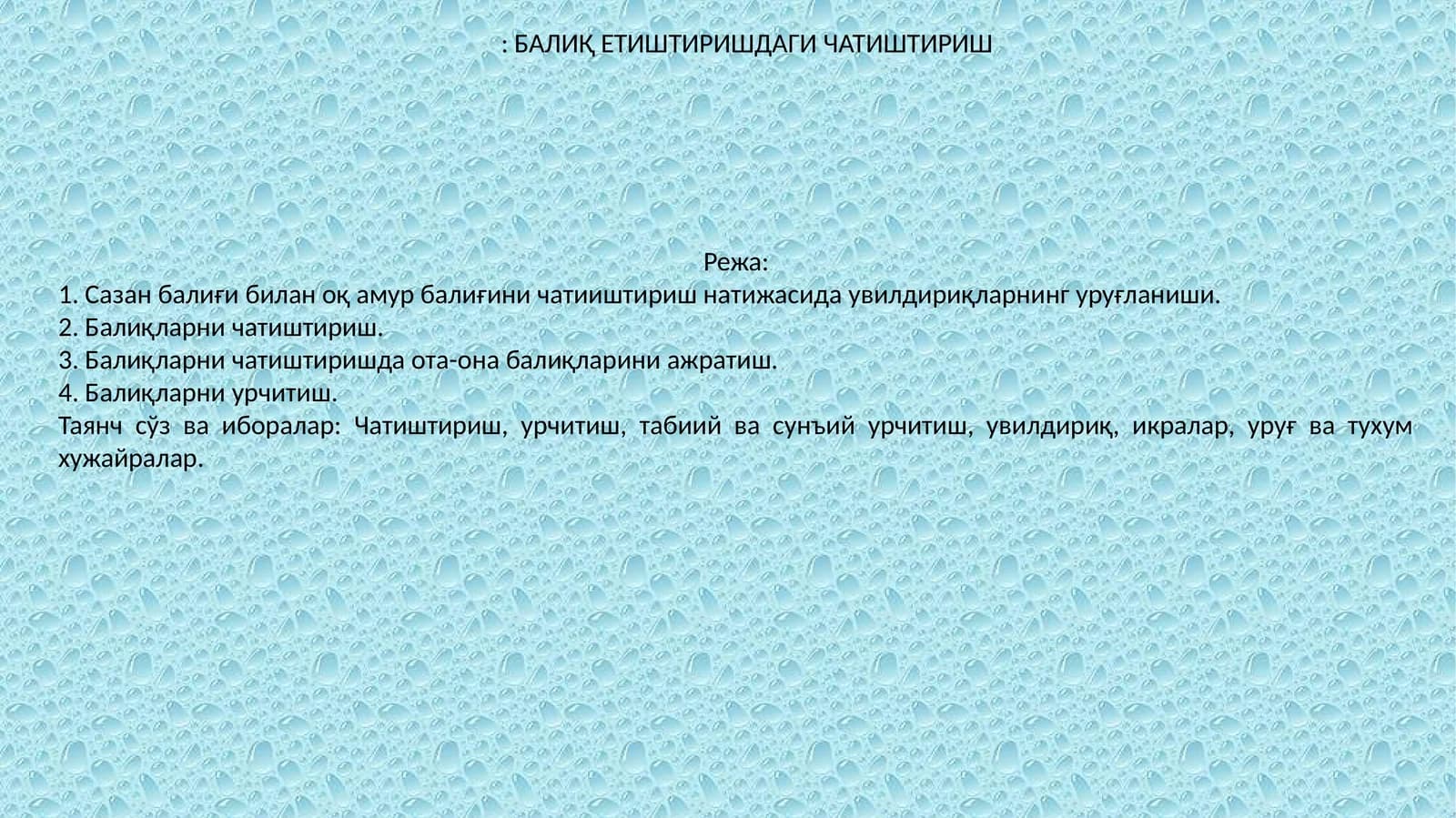 Балиқ етиштиришдаги чатиштириш