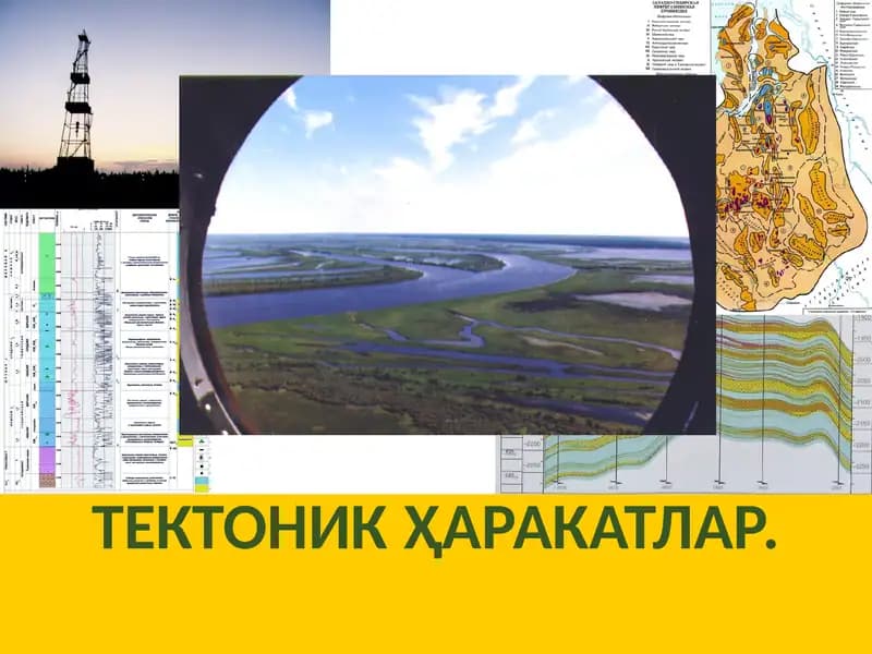 Тектоник ҳаракатлар
