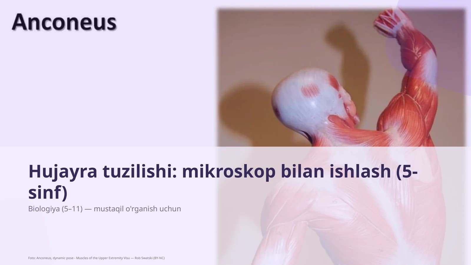 Hujayra tuzilishi: mikroskop bilan ishlash (5-sinf)