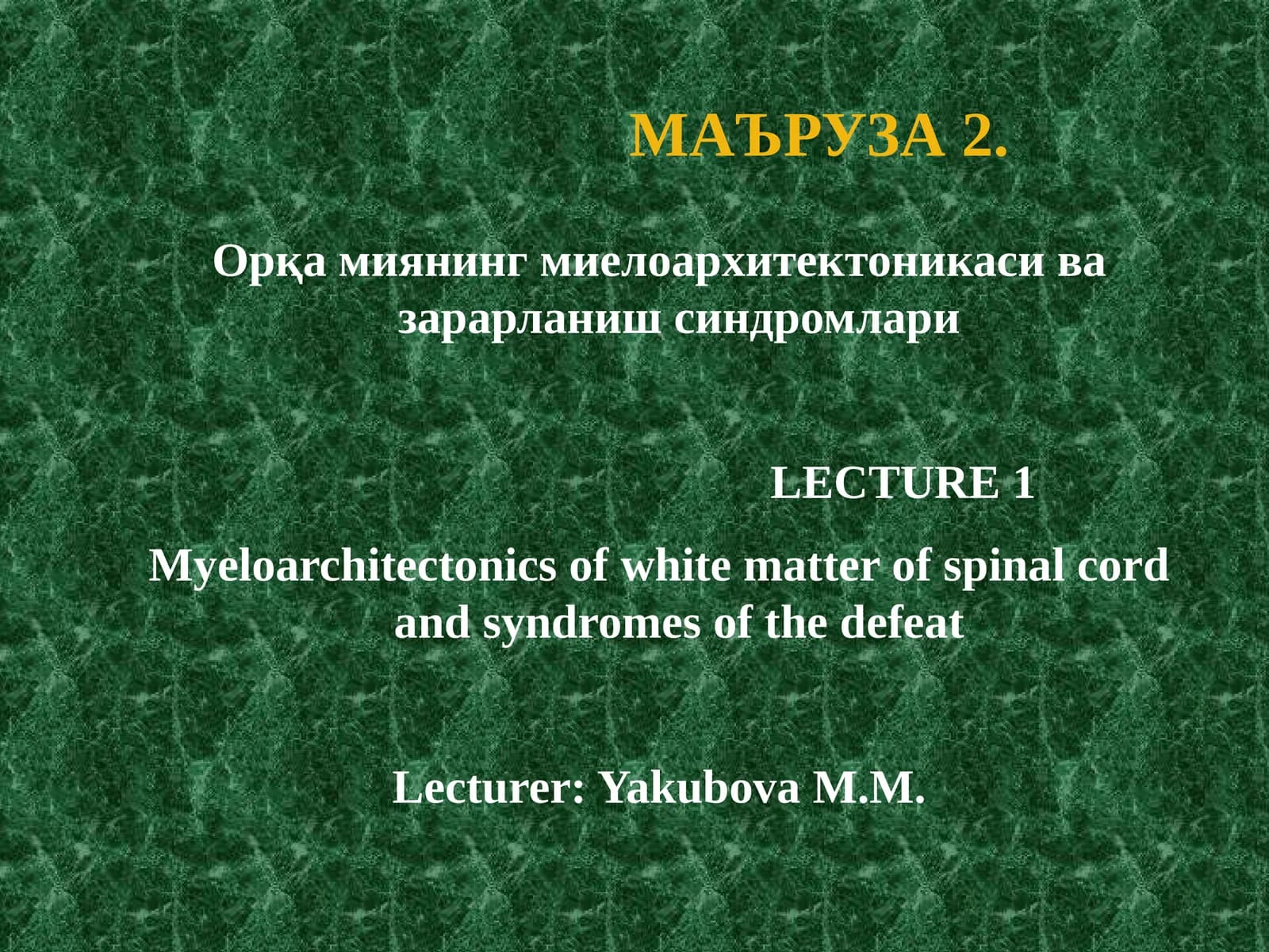 Orqa miyaning mileoarxitektonikasi