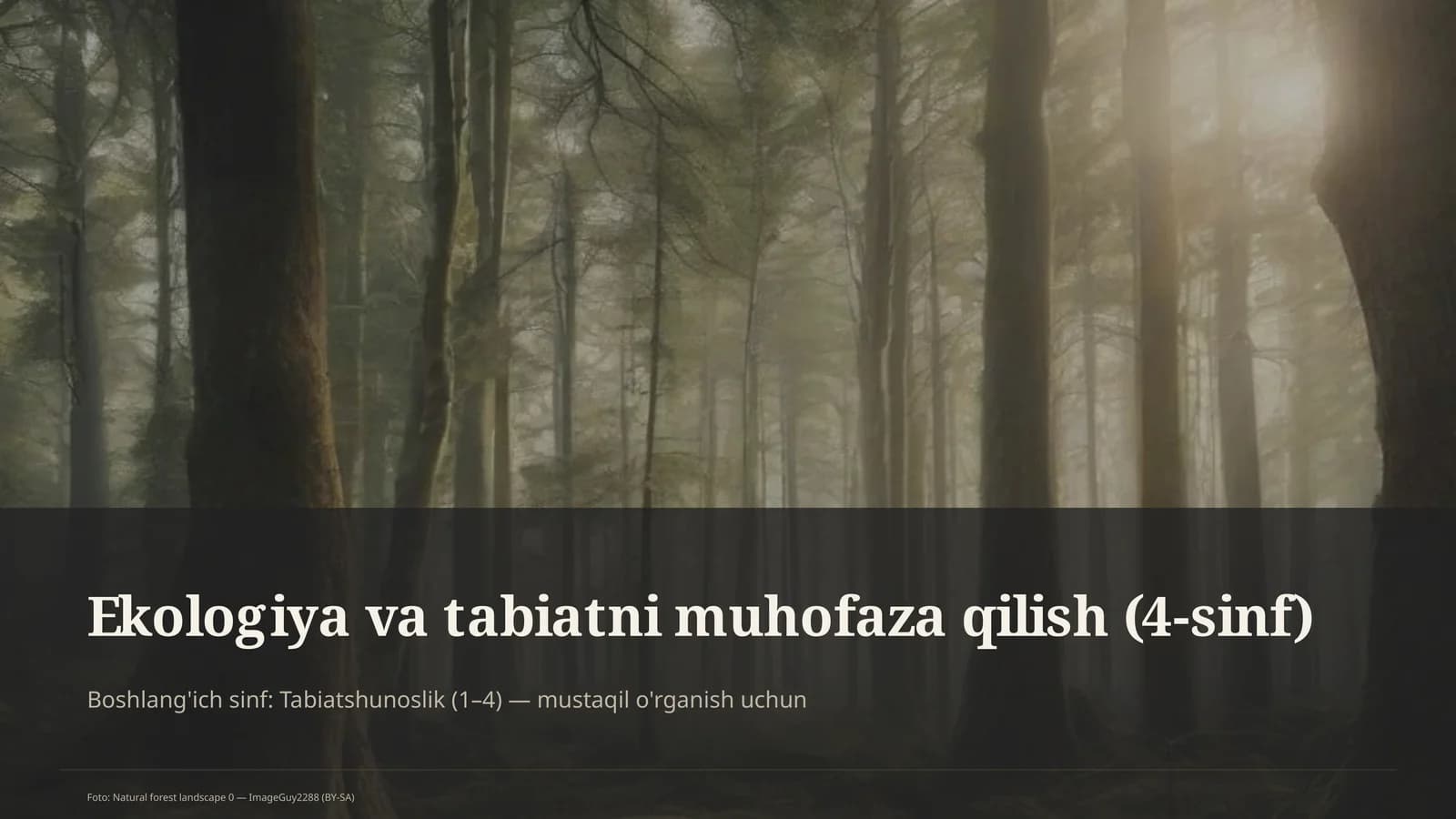 Ekologiya va tabiatni muhofaza qilish (4-sinf)