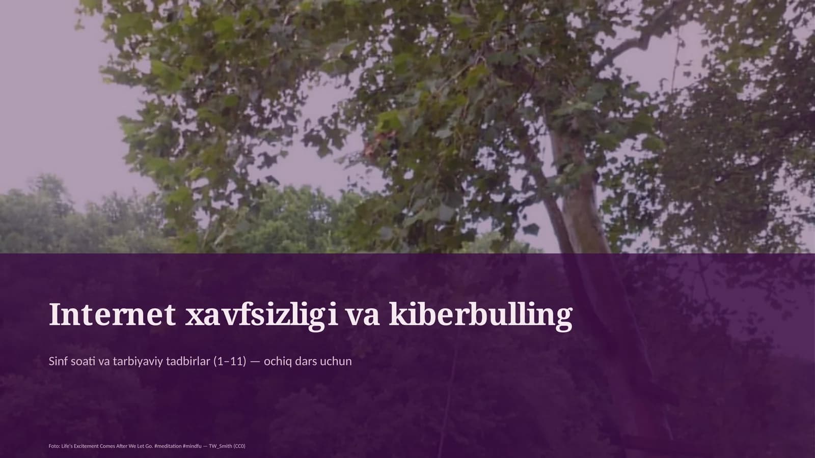 Internet xavfsizligi va kiberbulling