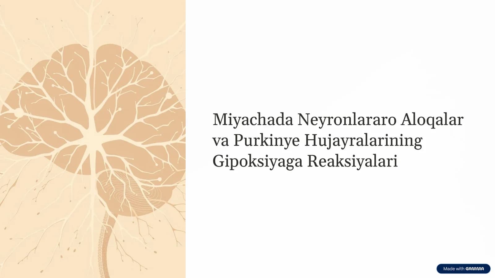 Miyachada Neyronlararo Aloqalar va Purkinye Hujayralarining Gipoksiyaga Reaksiyalari