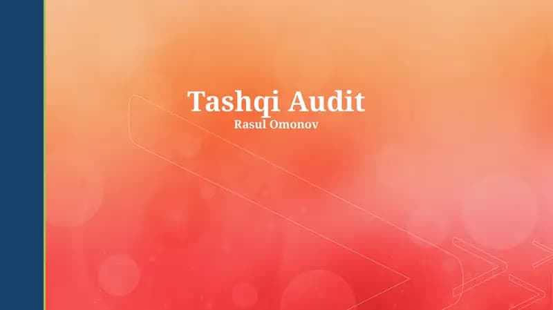 Tashqi Audit