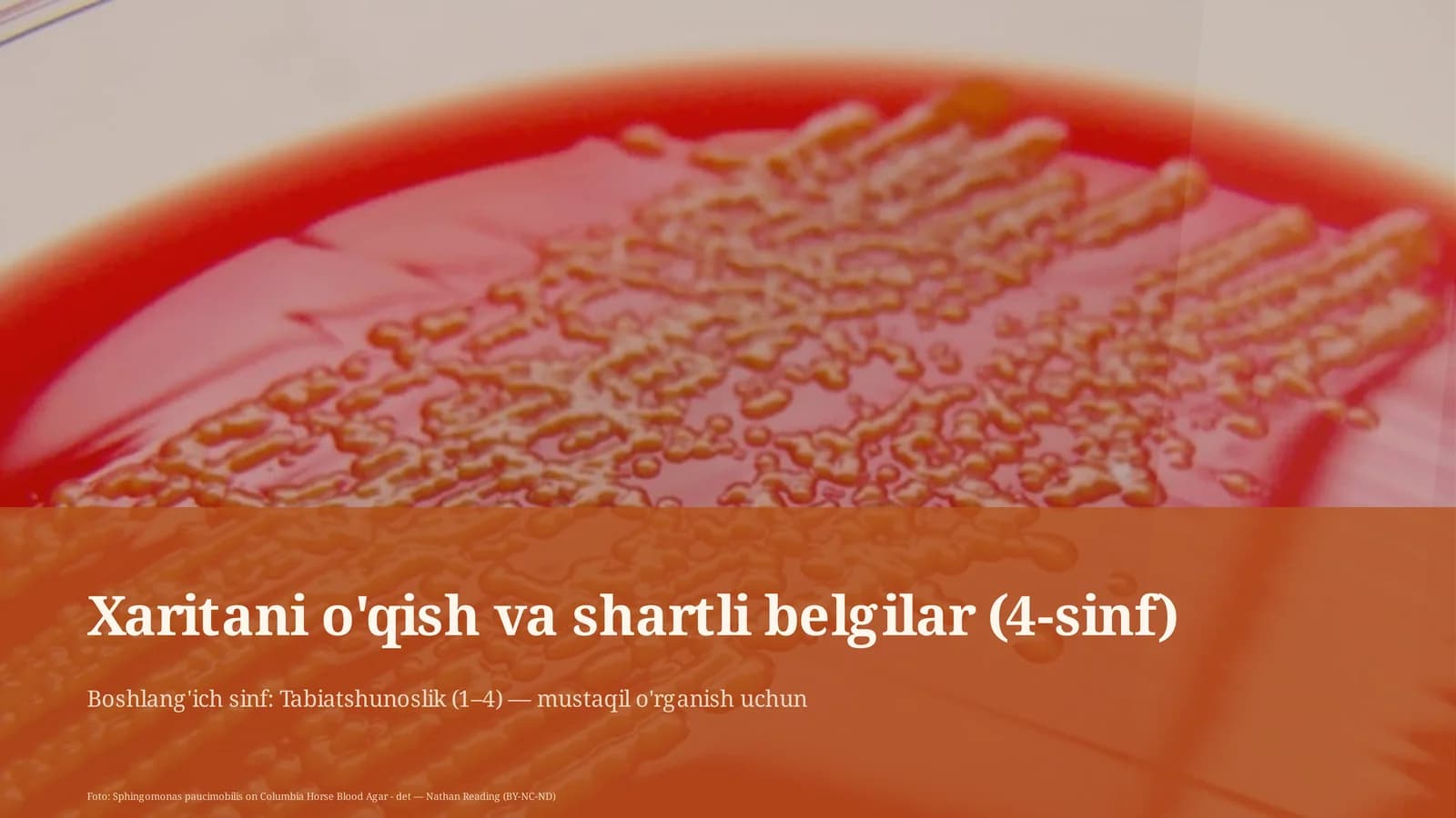 Xaritani o'qish va shartli belgilar (4-sinf)