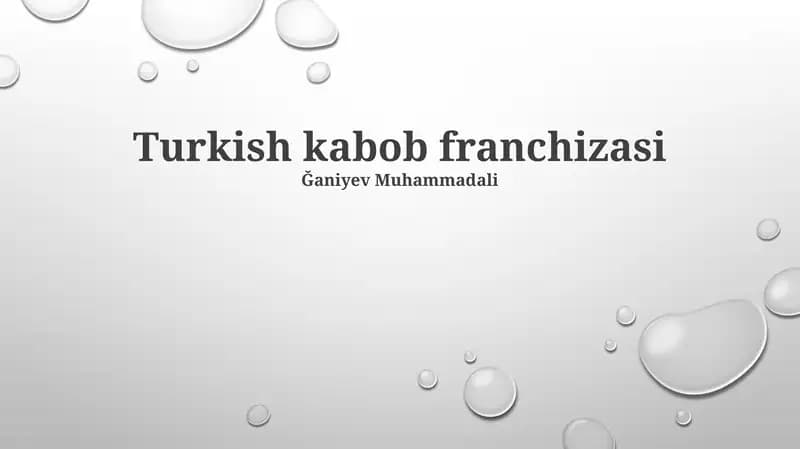 Turk Kebab Franchayzing