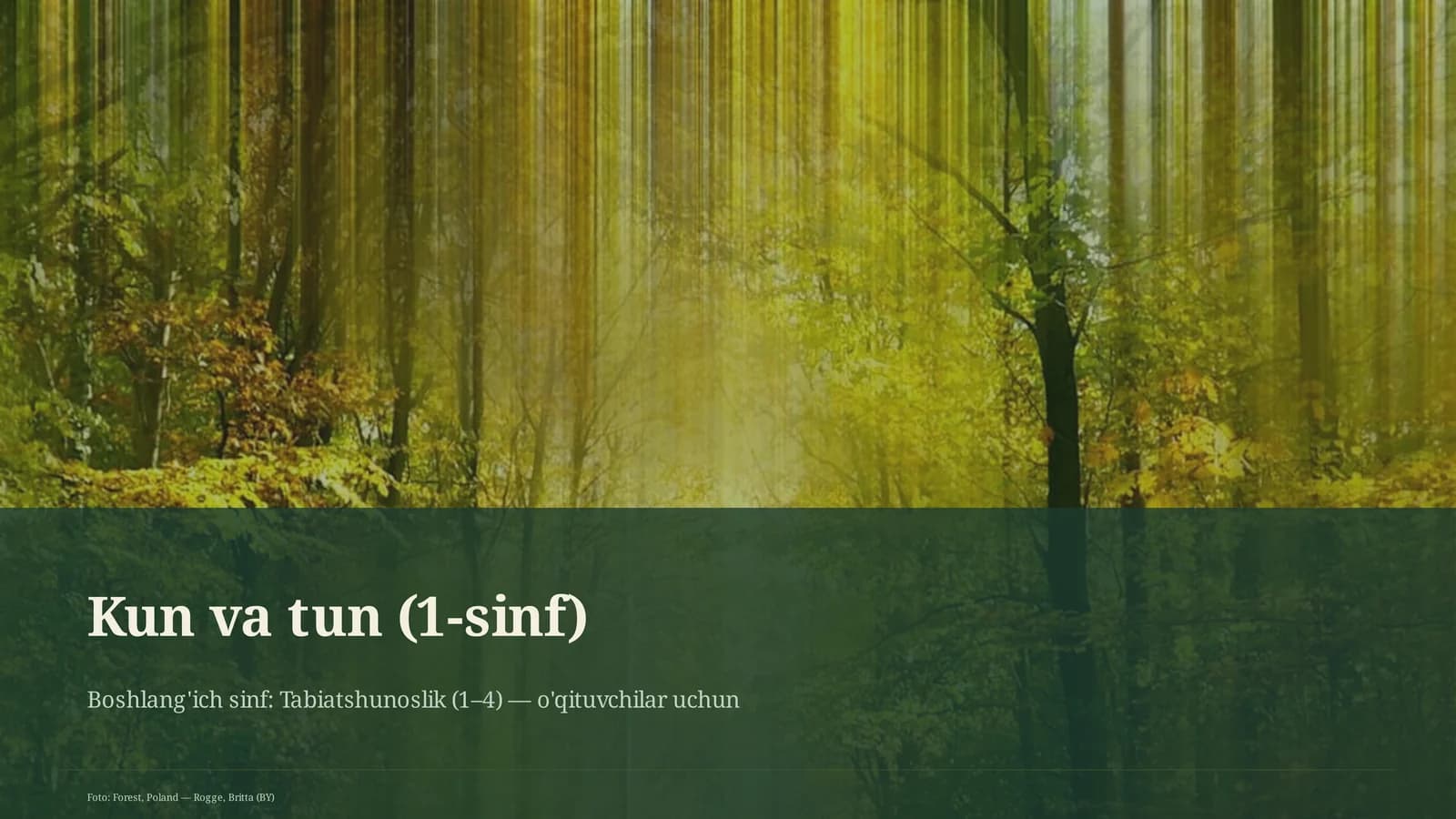 Kun va tun (1-sinf)