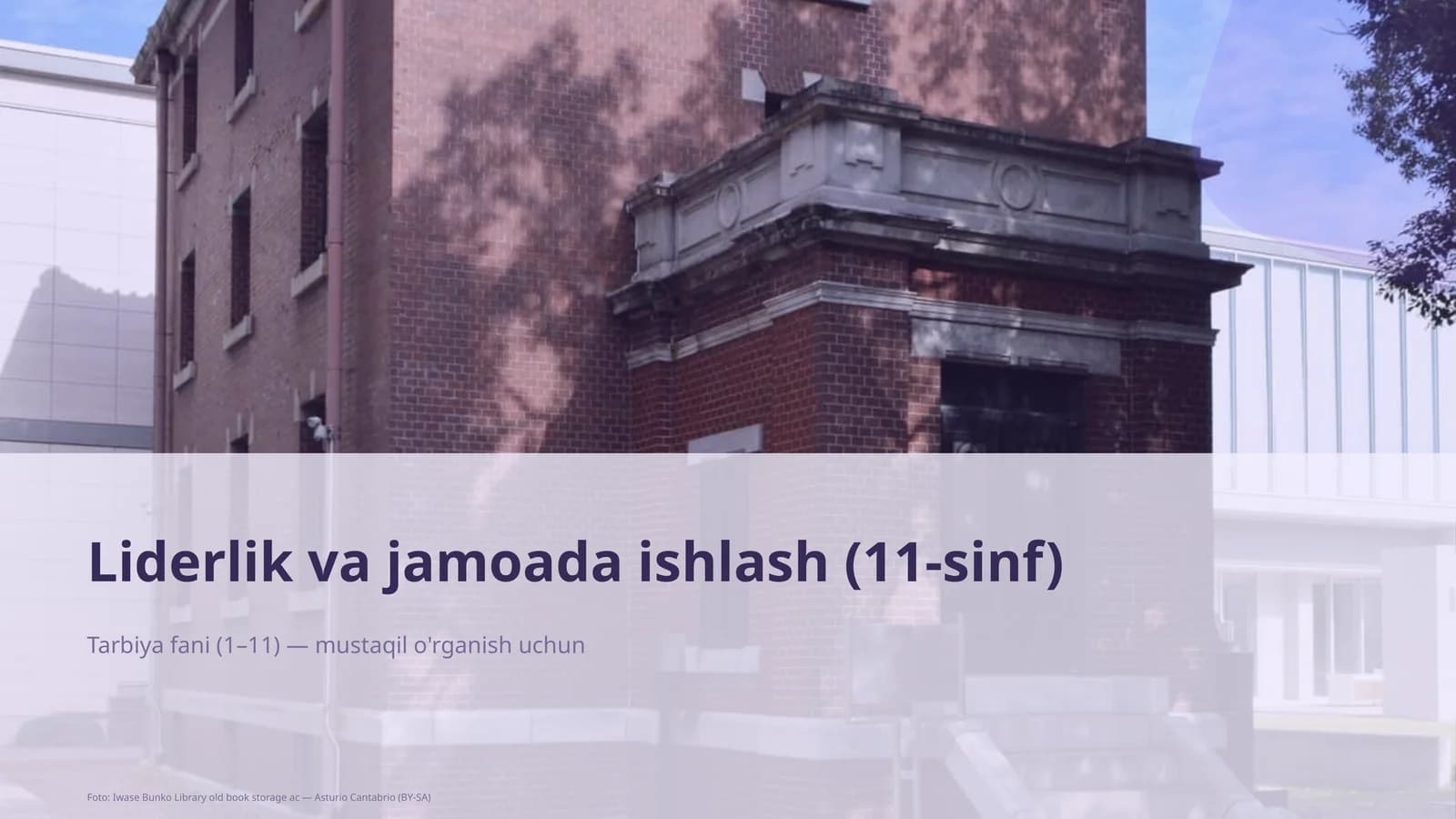 Liderlik va jamoada ishlash (11-sinf)