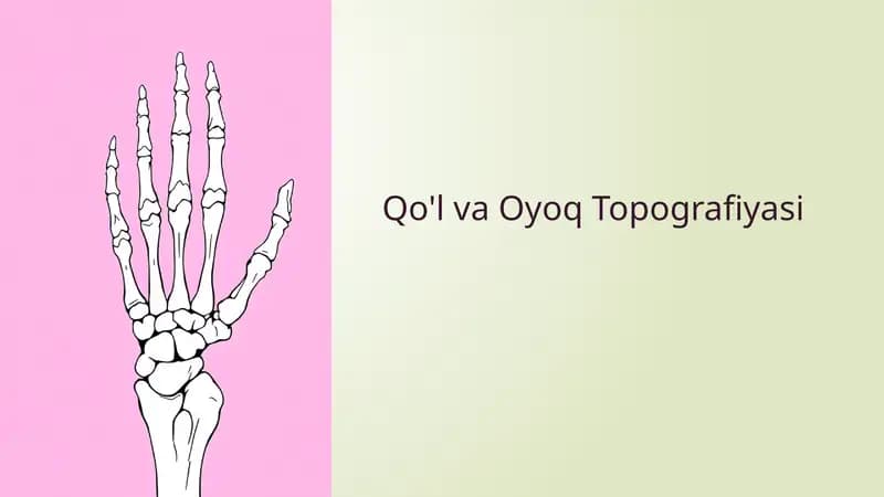 Qo'lva Oyoq Topografiyasi