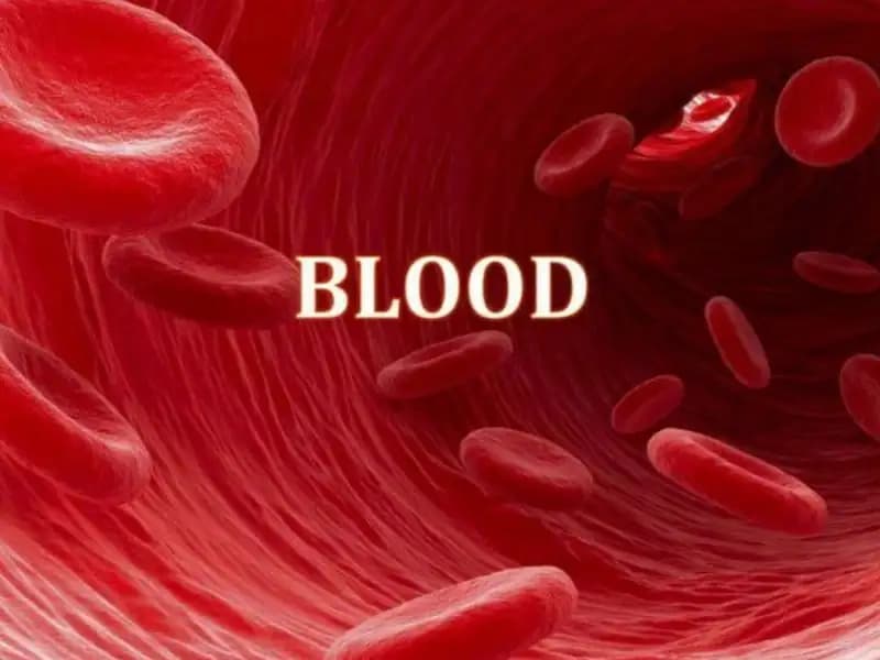 Components of Blood