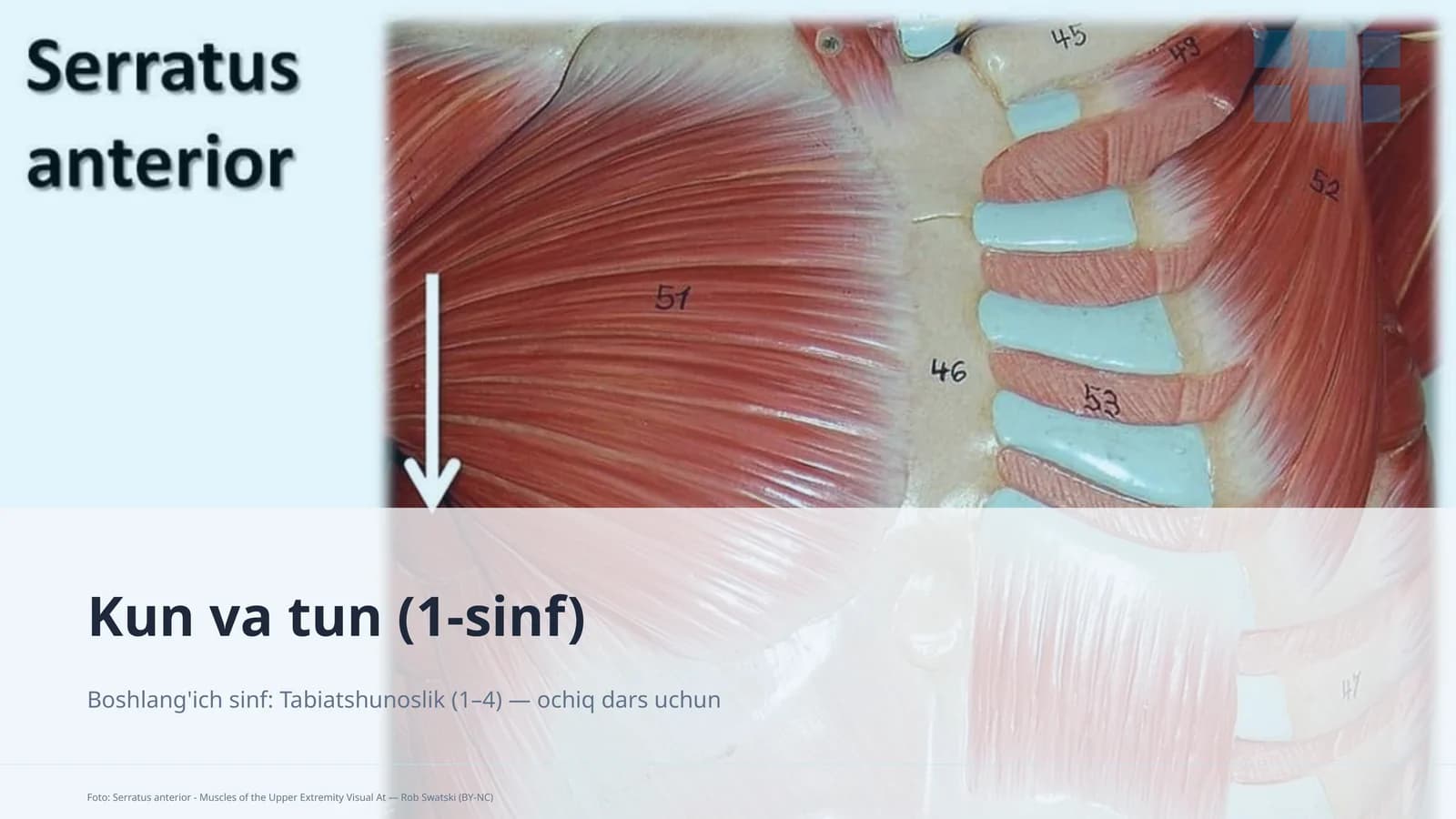 Kun va tun (1-sinf)
