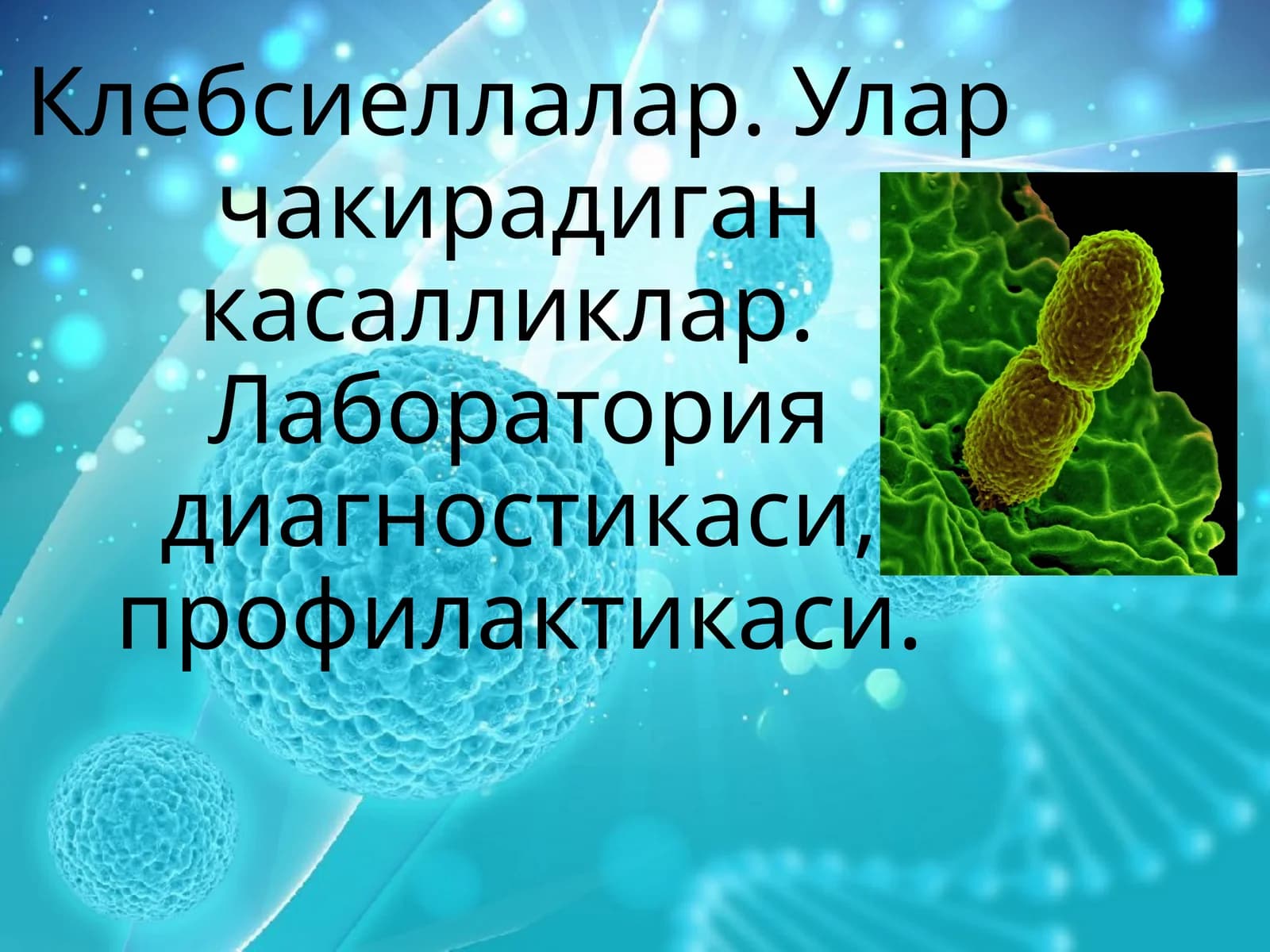 Klebsiella bakteriyalari(mikrobiologiya)