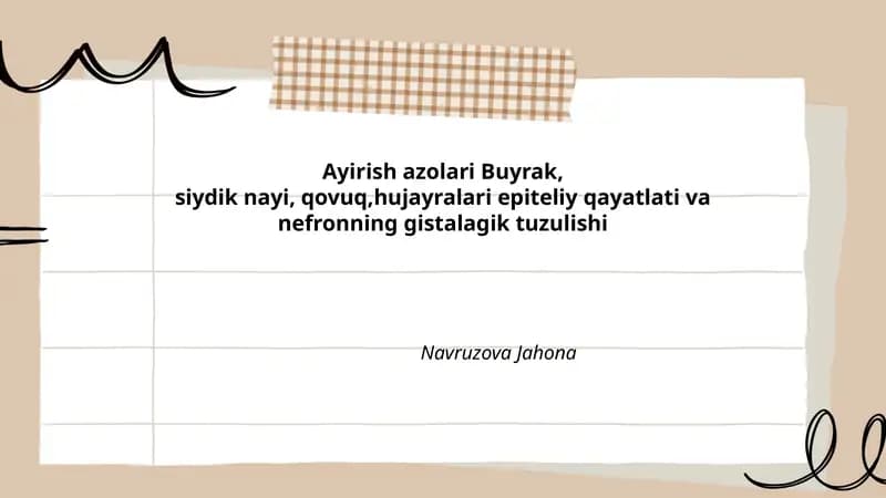 Ayirish azolari Buyrak va nefronning tuzilishi