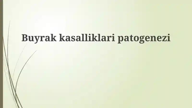 Buyrakkasalliklaripatogenezi