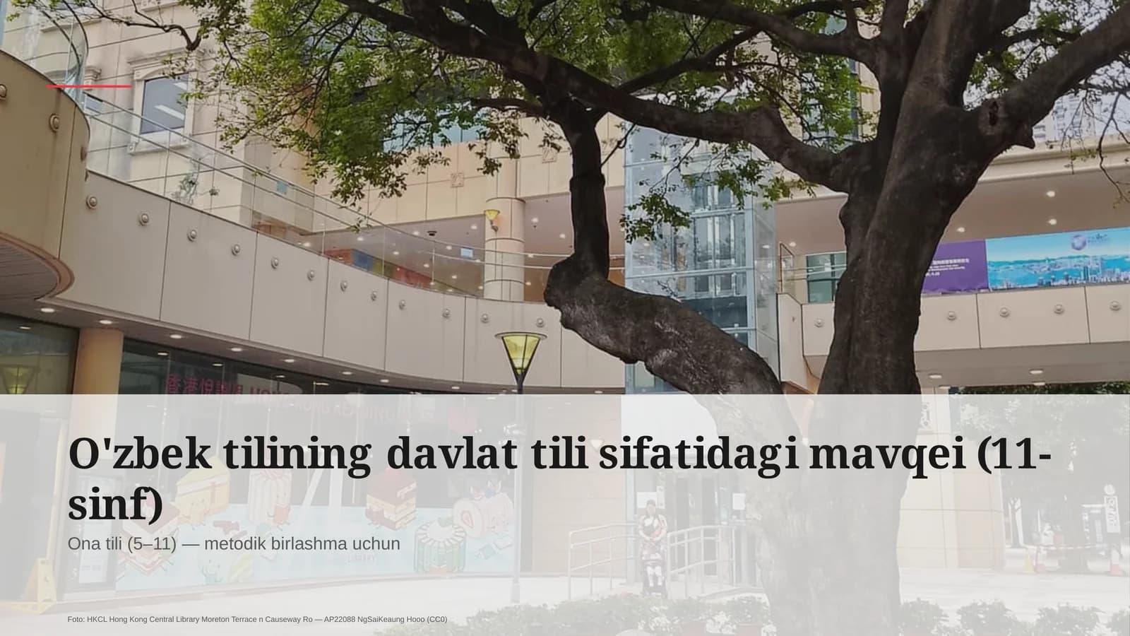 O'zbek tilining davlat tili sifatidagi mavqei (11-sinf)