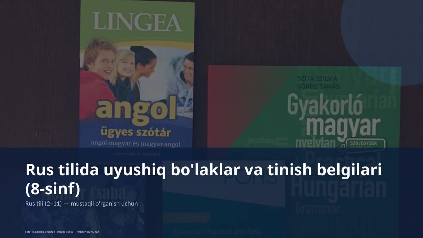 Rus tilida uyushiq bo'laklar va tinish belgilari (8-sinf)