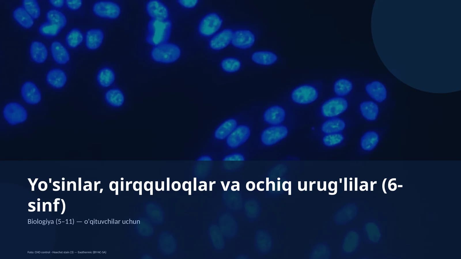 Yo'sinlar, qirqquloqlar va ochiq urug'lilar (6-sinf)