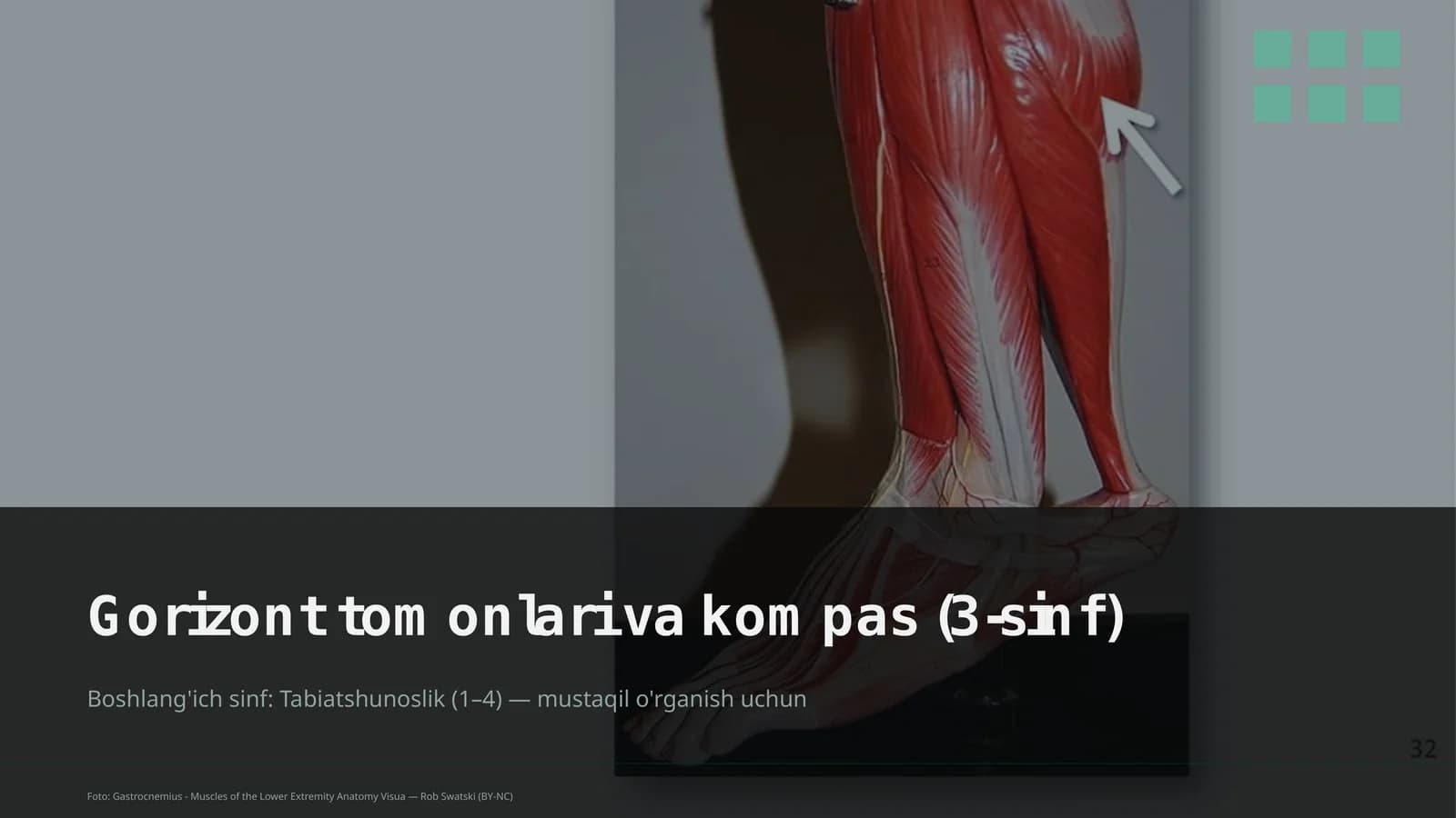 Gorizont tomonlari va kompas (3-sinf)