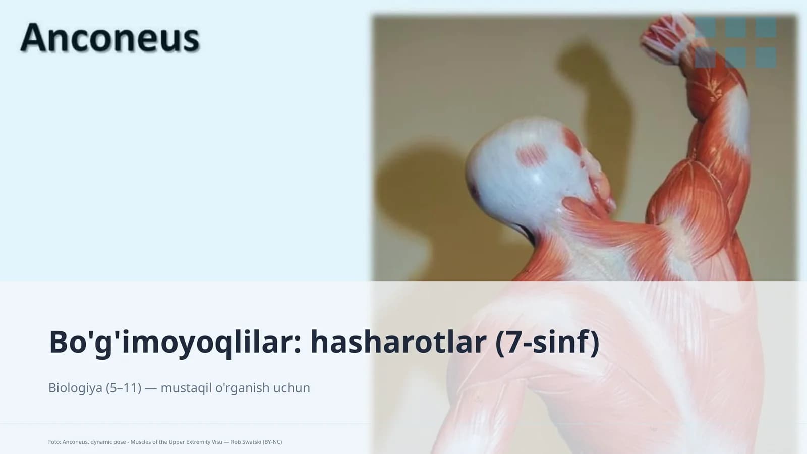 Biologiya (5–11) — mustaqil o'rganish uchun