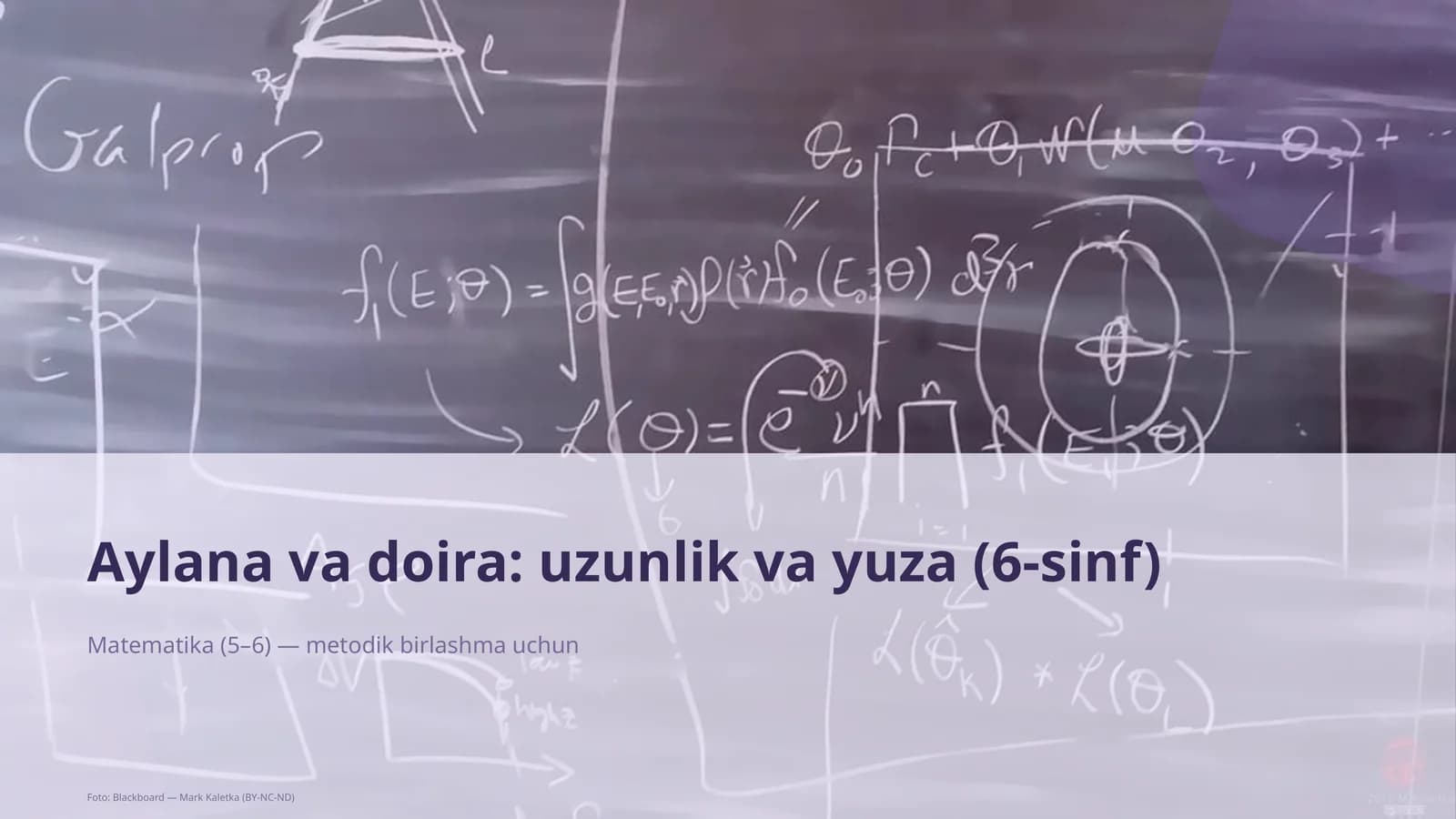 Matematika (5–6) — metodik birlashma uchun