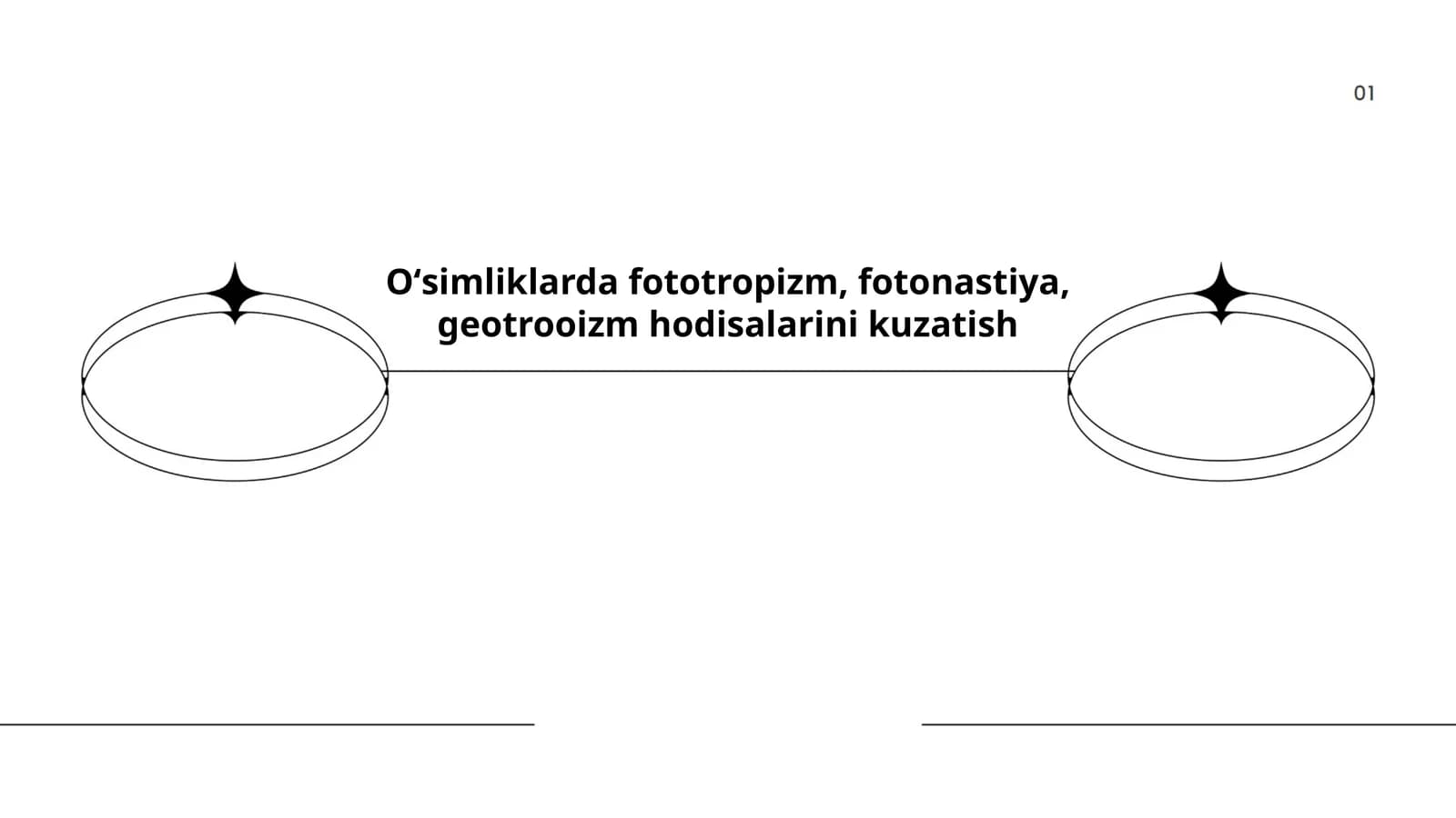 Oʻsimliklarda fototropizm, fotonastiya, geotrooizm hodisalarini kuzatish