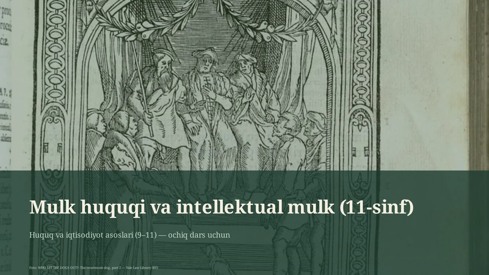 Mulk huquqi va intellektual mulk (11-sinf)