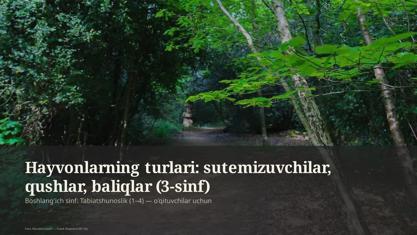 Hayvonlarning turlari: sutemizuvchilar, qushlar, baliqlar (3-sinf)