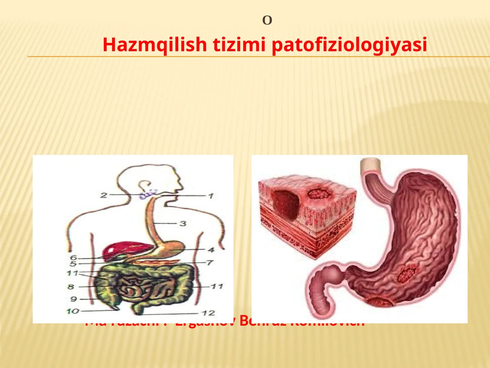 Hazmqilish tizimi patofiziologiyasi