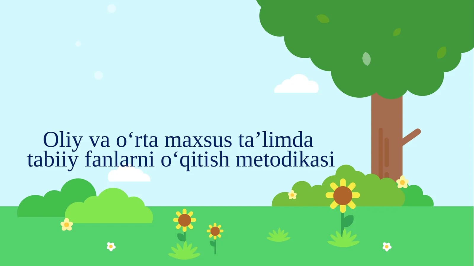 Oliy va o‘rta maxsus ta’lim dastabiy fanlarni o‘qitish metodikasi