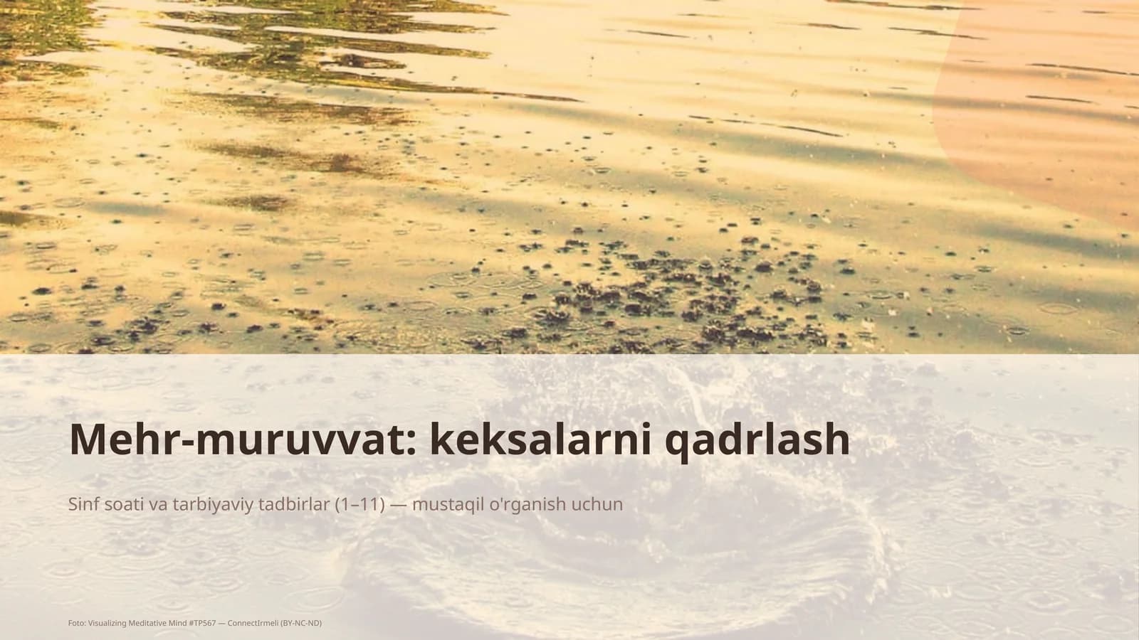 Mehr-muruvvat: keksalarni qadrlash