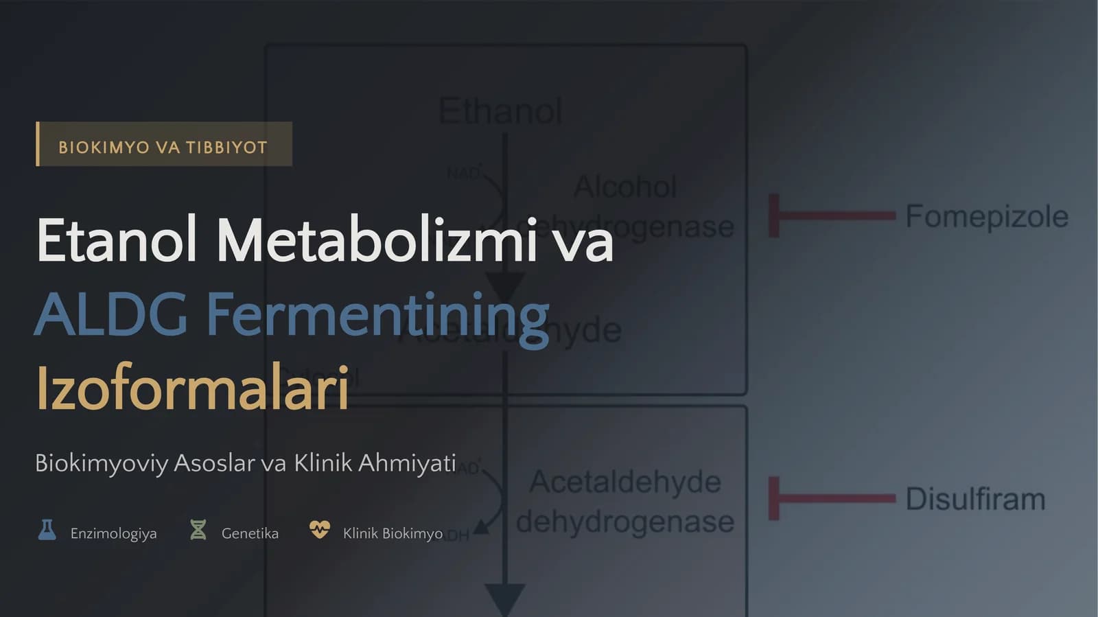 Etanol Metabolizmi va ALDG Fermentining Izoformalari Biokimyoviy Asoslar va Klinik Ahmiyati
