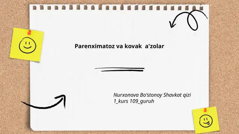 Parenximatoz va kovak a'zolar