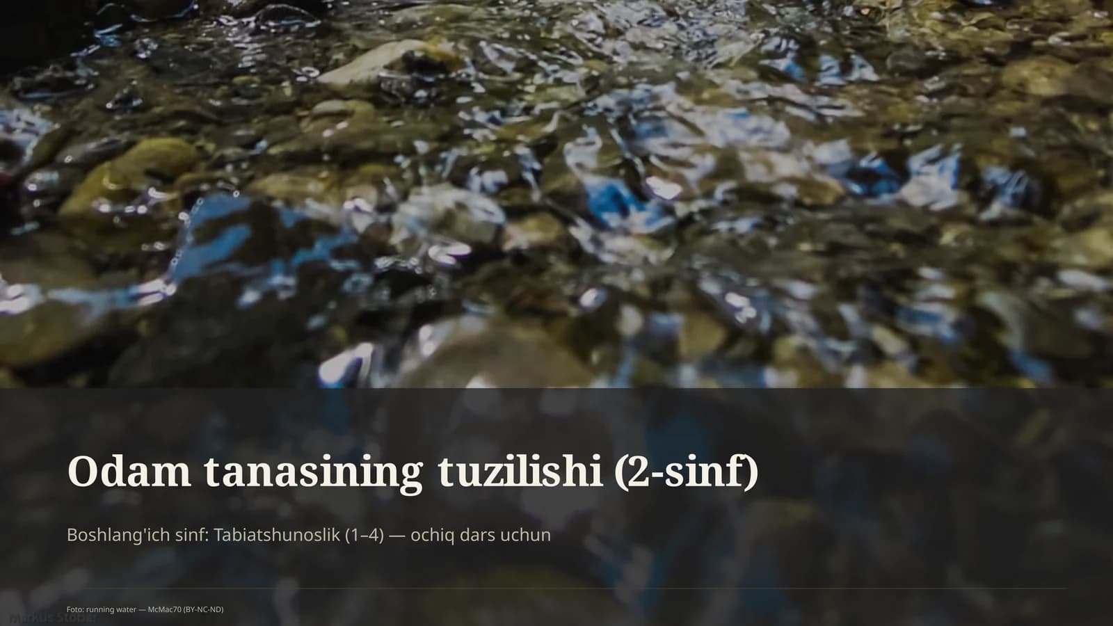 Odam tanasining tuzilishi (2-sinf)