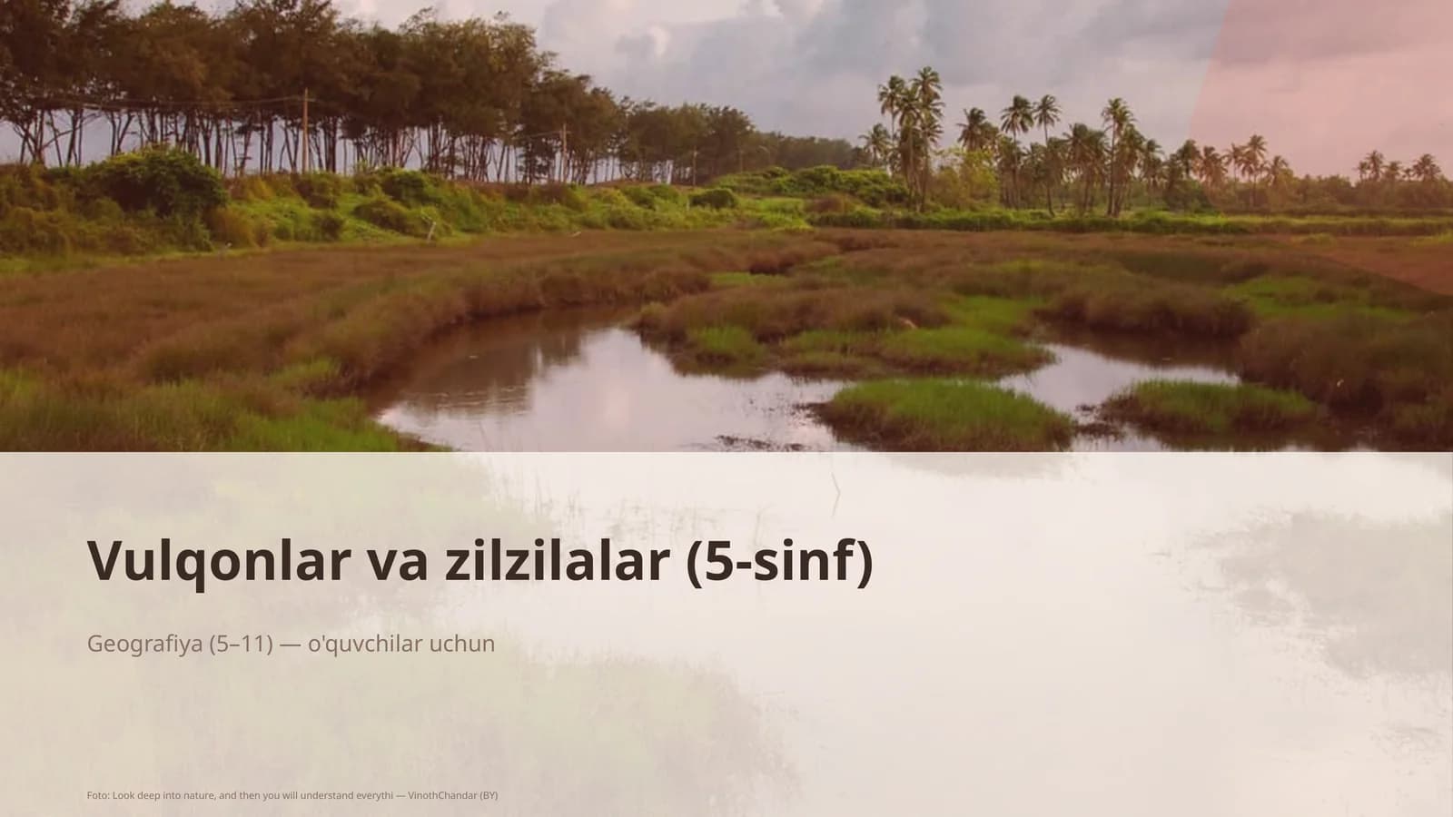 Vulqonlar va zilzilalar (5-sinf)