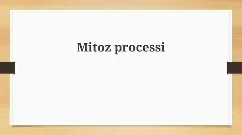 Mitozprocessi