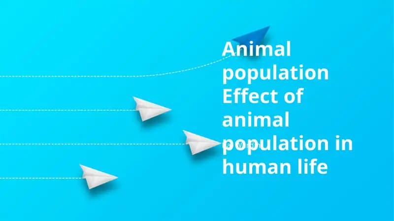 Animal population
