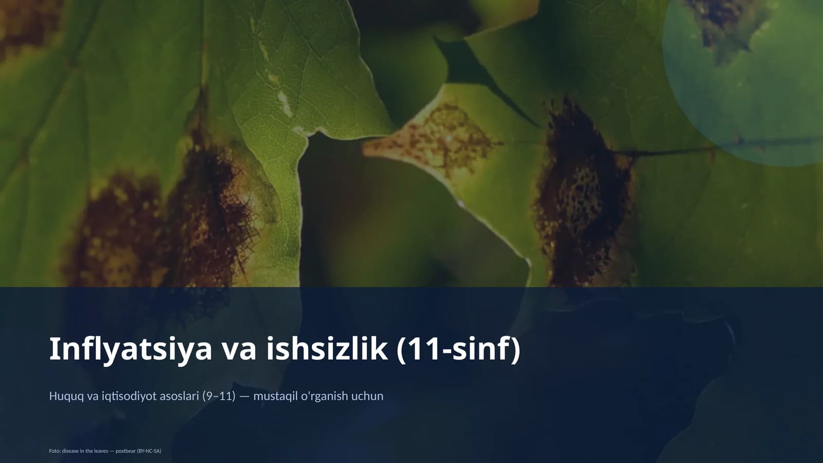 Inflyatsiya va ishsizlik (11-sinf)