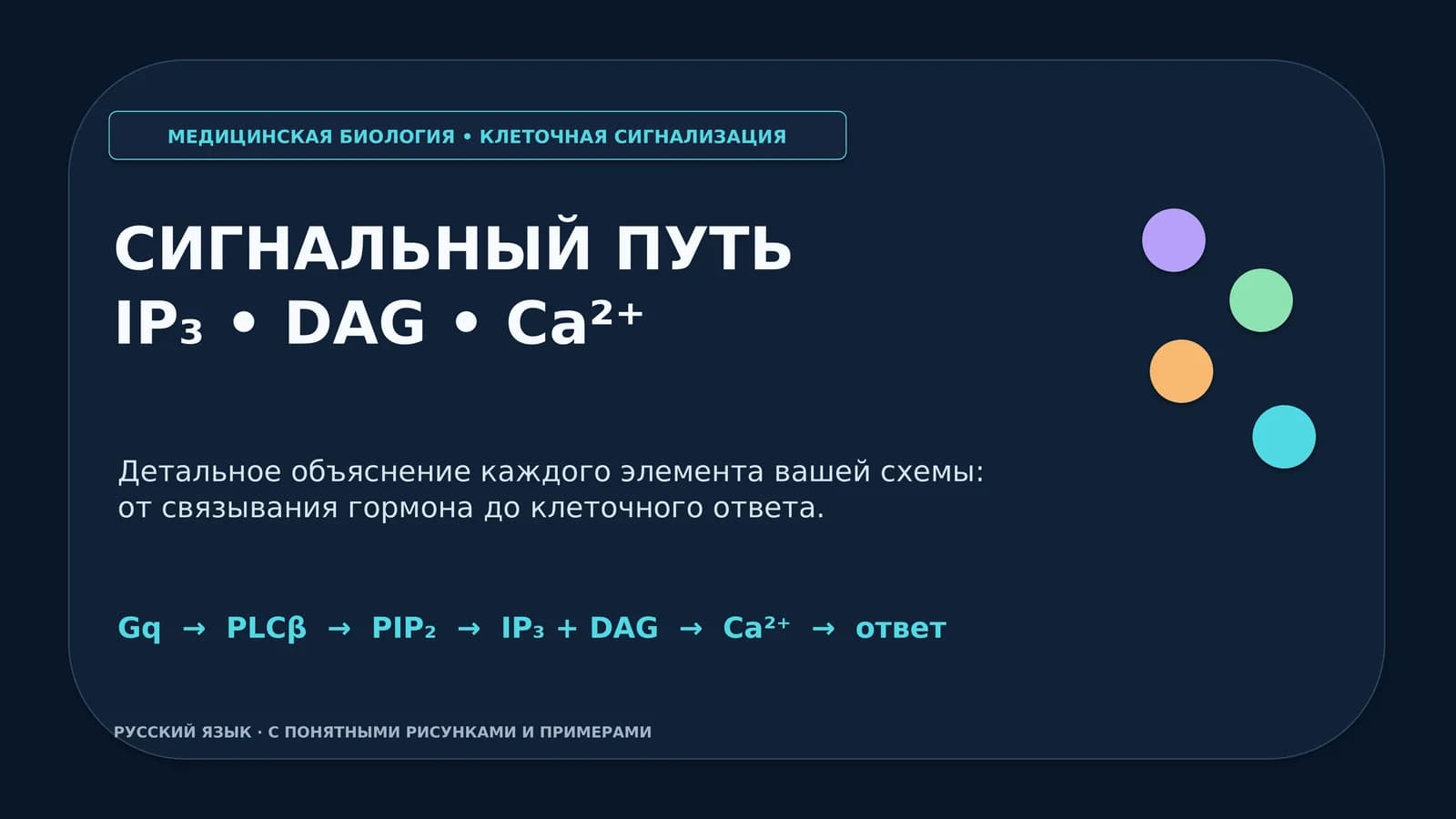 МЕДИЦИНСКАЯ БИОЛОГИЯ • КЛЕТОЧНАЯ СИГНАЛИЗАЦИЯ