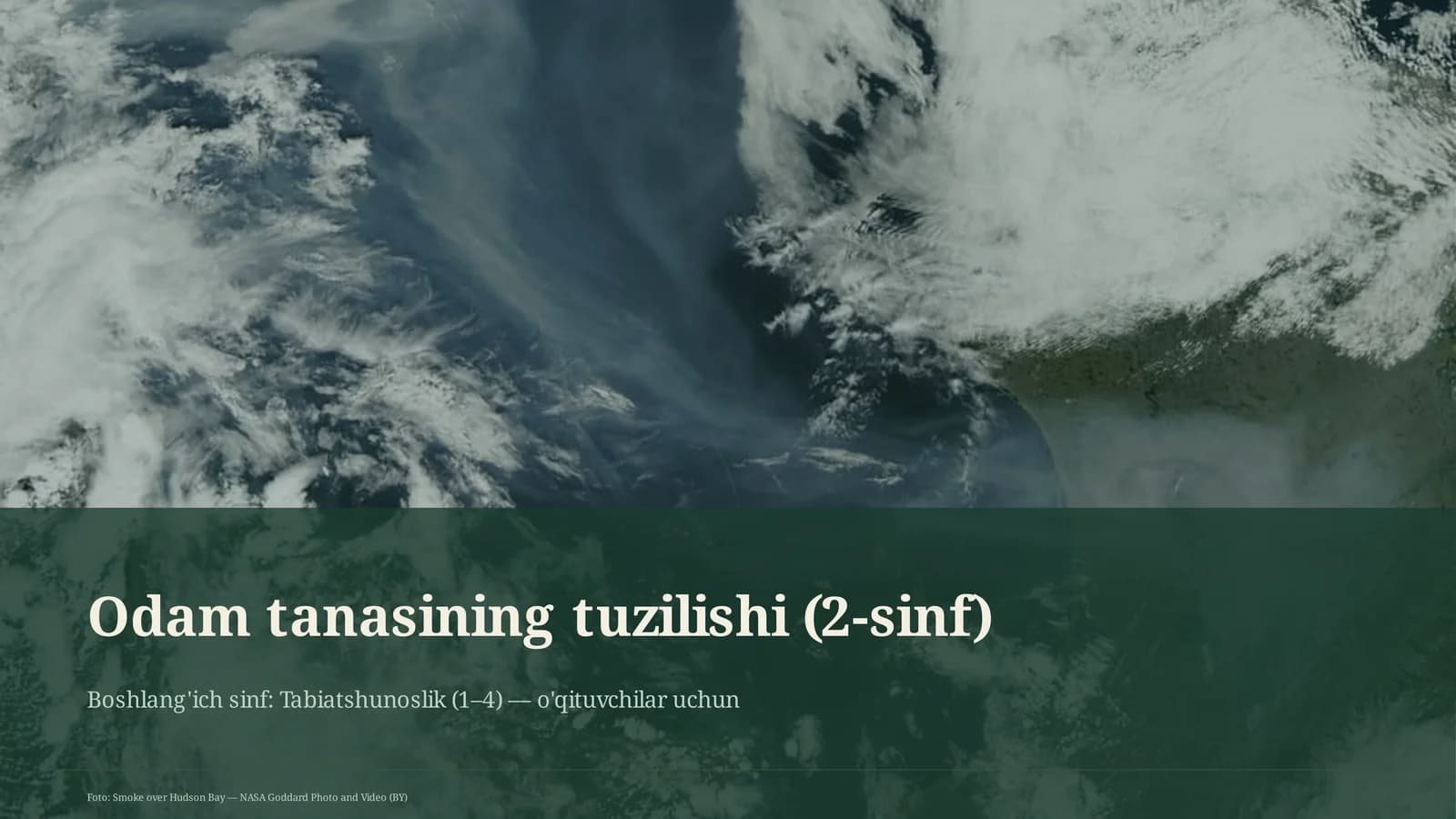 Odam tanasining tuzilishi (2-sinf)