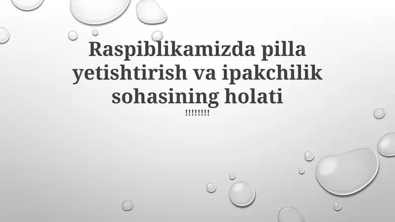 Ipakchilik holati: Qiyinchiliklar va imkoniyatlar