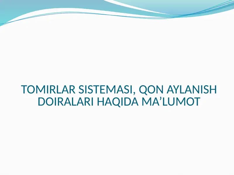 TOMIRLAR SISTEMASI, QON AYLANISH DOIRALARI HAQIDA MA’LUMOT