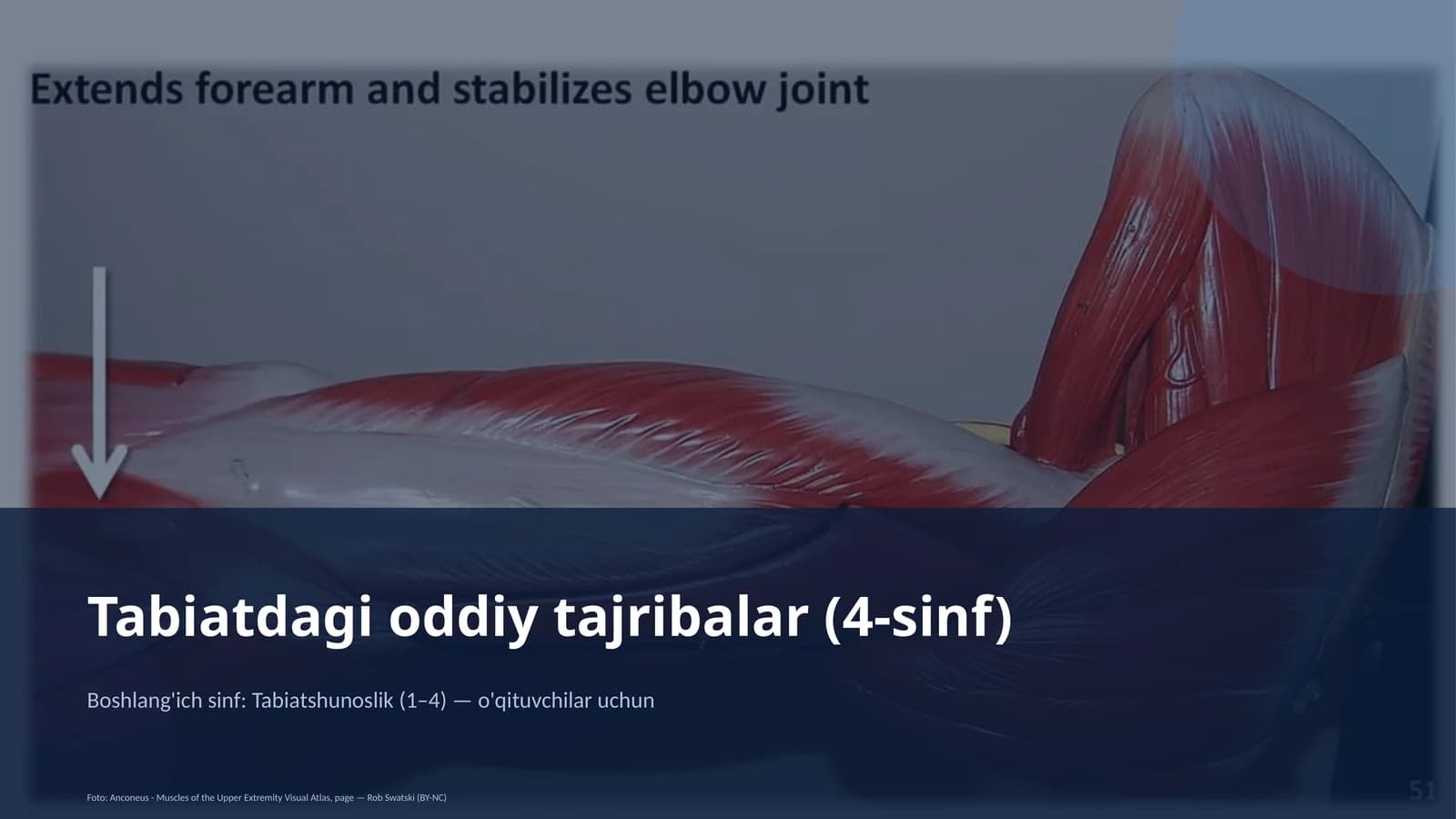 Tabiatdagi oddiy tajribalar (4-sinf)