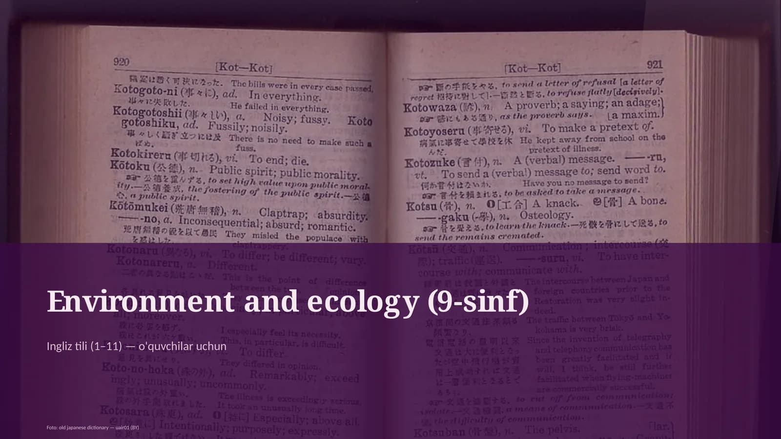 Environment and ecology (9-sinf)