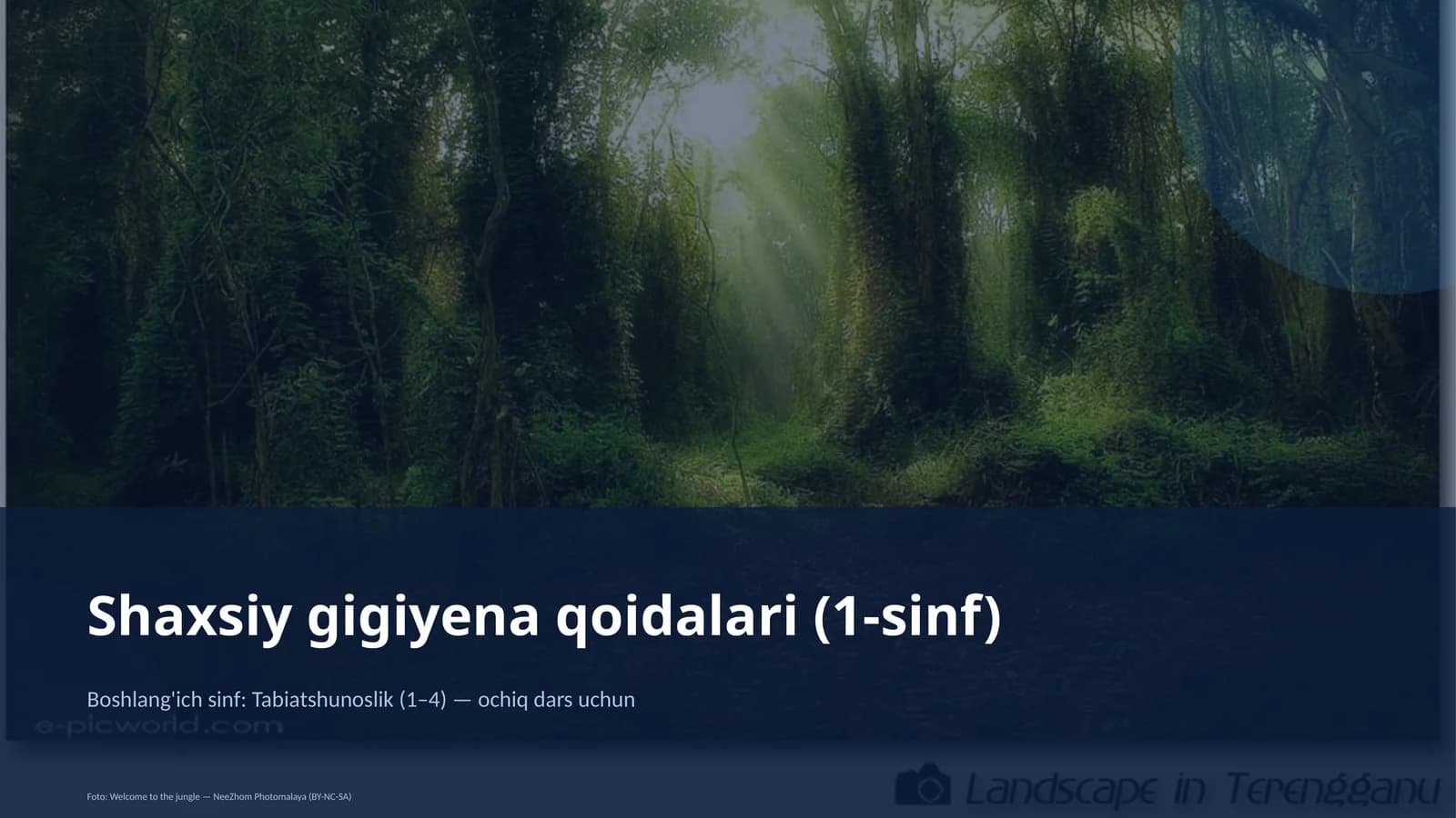 Shaxsiy gigiyena qoidalari (1-sinf)