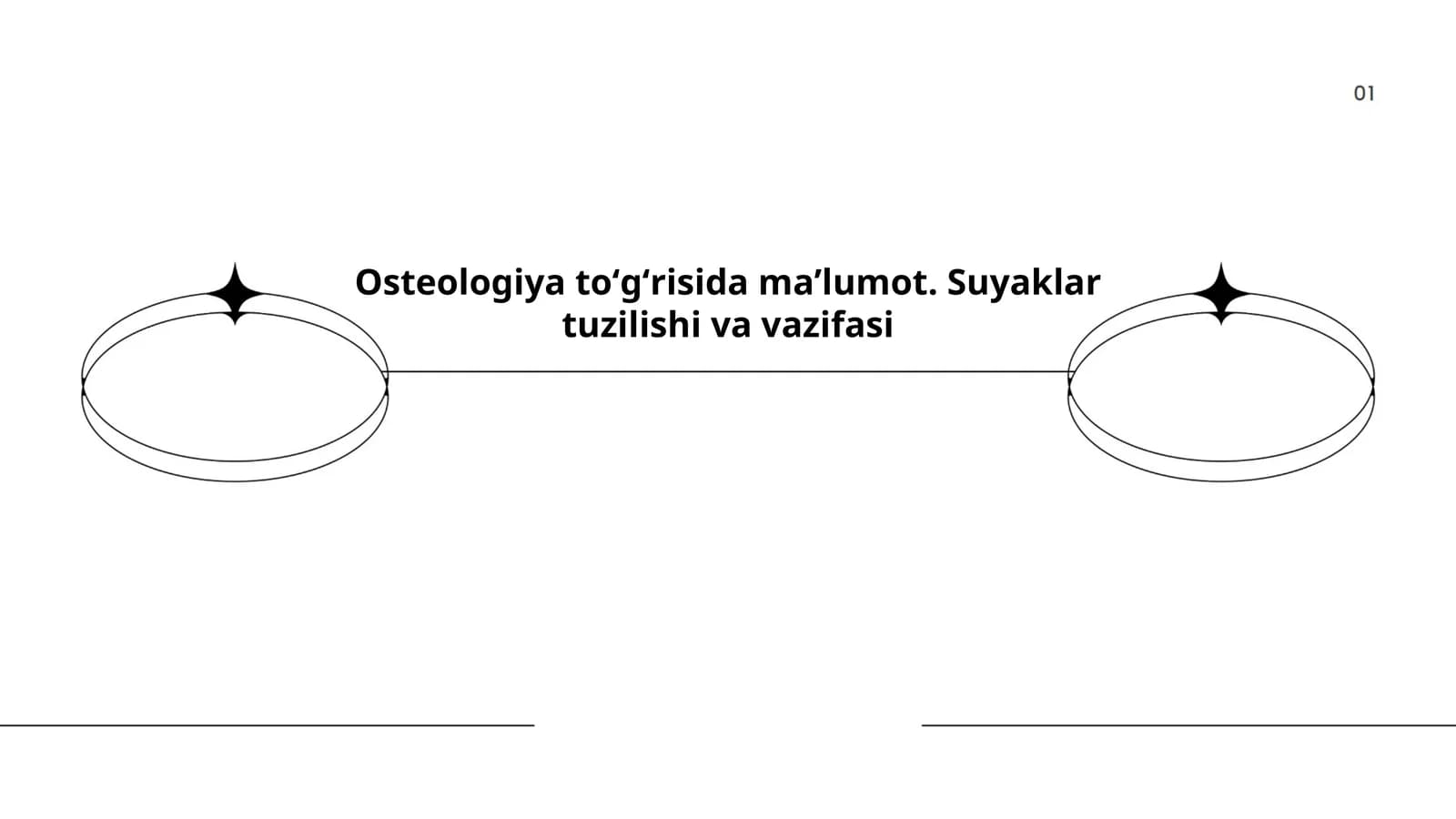 Suyaklar tuzilishi va vazifasi