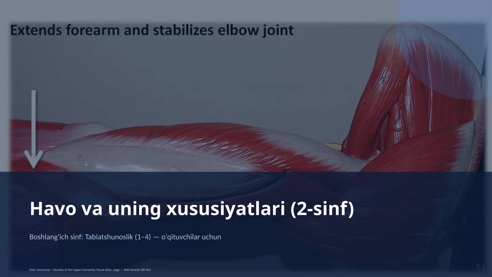 Havo va uning xususiyatlari (2-sinf)