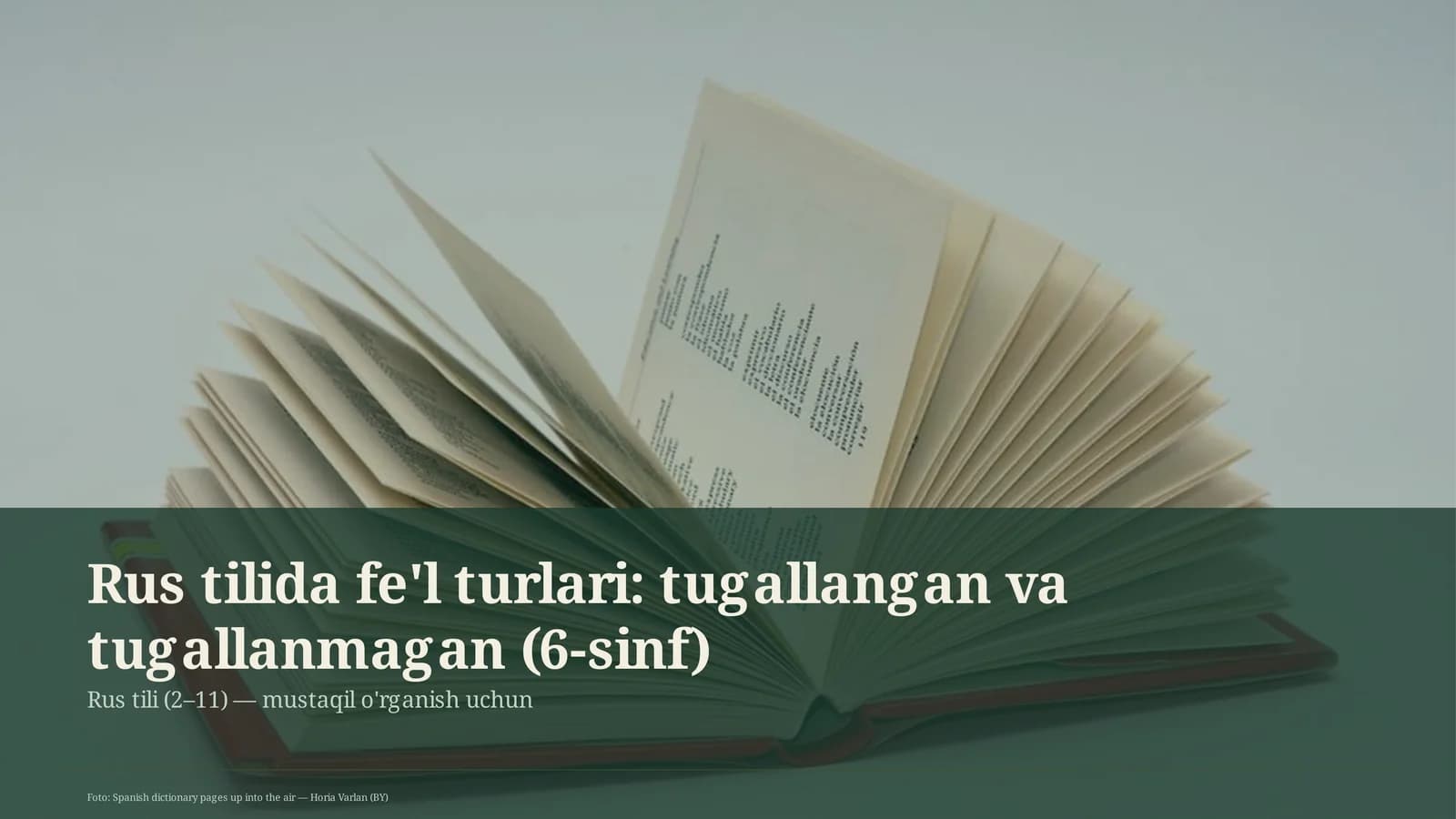Rus tilida fe'l turlari: tugallangan va tugallanmagan (6-sinf)