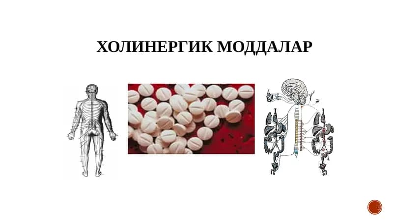 ХОЛИНЕРГИК МОДДАЛАР